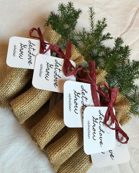 Tree Seedling Wedding Favors, Tree Baby Shower Favors, December Wedding Favors, Tree Wedding Favors, Plant Wedding Favors, Memorial Favors, Mountain Farm, Let Love Grow, Tree Seedlings