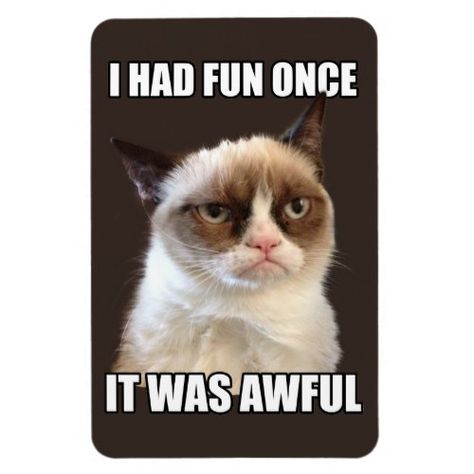 A funny, hilarious, Grumpy Cat magnet featuring the classic, dry, vitriolic, waspish, sarky, #Grumpy Cat take on #fun and awfulness. Grumpy Cat Birthday, Humor Birthday, Funny Boyfriend, Cat Birthday Card, Birthday Wishes Funny, Grumpy Cat Humor, Best Birthday Wishes, Cats Phone Case, Cat Merchandise