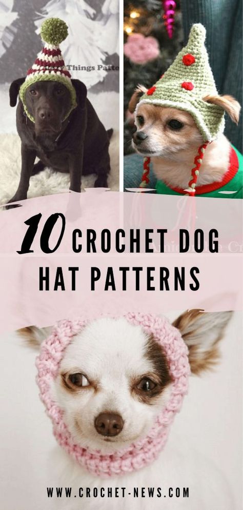 10 Crochet Dog Hat Patterns - Crochet News Crochet Dog Hats, Crochet Dog Hat Free Pattern, Bunny Hat Crochet, Crochet Dog Hat, Kat Haken, Dog Hats, Crochet Dog Clothes, Dog Beanie, Dog Snood