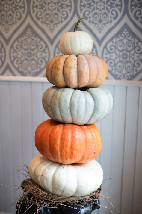 Photo by DOLA Photography {dolaphoto.com} | Pumpkin stack | Fall decor | Different colored pumpkin decor | Interior photography Pumpkin Stack, Stack Of Pumpkins, Painted Stackable Pumpkins, Fall Stackable Pumpkins, Five Below Stacking Pumpkins, Stackable Crochet Pumpkins, Fall Fest, Blue Pumpkins, Stacked Pumpkins