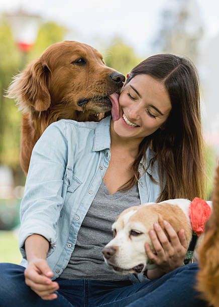 8,441 Dog Kissing Stock Photos, Pictures & Royalty-Free Images - iStock Smartest Dog Breeds, Spaniel Breeds, Dog Kisses, Me And My Dog, Dog Selfie, Guide Dog, Smart Dog, Funny Cats And Dogs, Animal Hospital