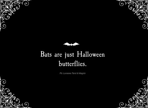 Quotes Goth, Gothic Quotes, Goth Quotes, Black Cat Aesthetic, Weird Words, Spooky Szn, The Ugly Truth, Halloween Quotes, Halloween Aesthetic