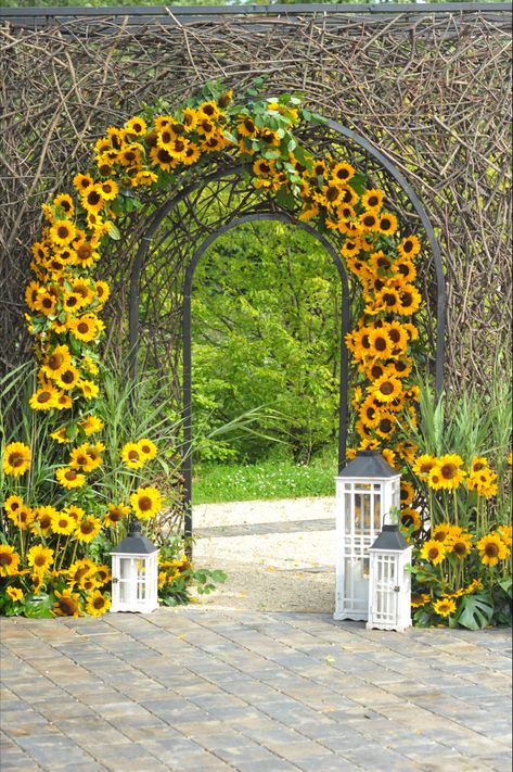 Sunflower Wedding Theme, Wedding Table Setup, Sunflower House, Photo Corner, Sunflower Themed Wedding, Sunflower Photo, Entry Gates, Photo Corners, Wallpaper Images