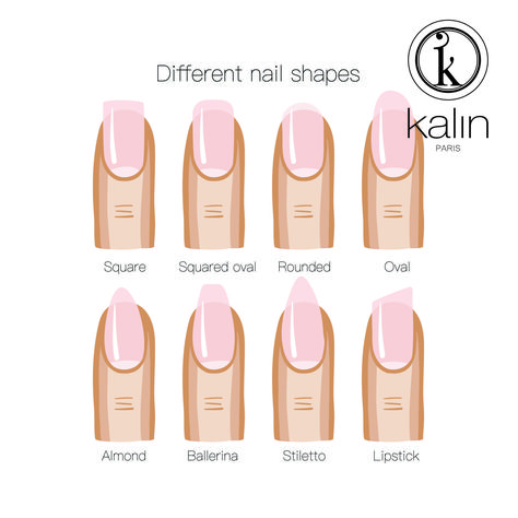 What does your nail shape say about you?Square: a strong woman with leadership abilitiesSquared oval: an explorer with ability to adaptRounded: a busy woman on the goOval: practical with a love for the classicAlmond: practical but inclined to be innovativeBallerina: feminine and stylishStiletto: daring with a high sense of sensualityLipstick: bold and unpredictable Leadership Abilities, A Strong Woman, Magic Nails, Busy Woman, Finger Nail Art, Nails 2020, Strong Woman, Vector Stock, Different Shapes