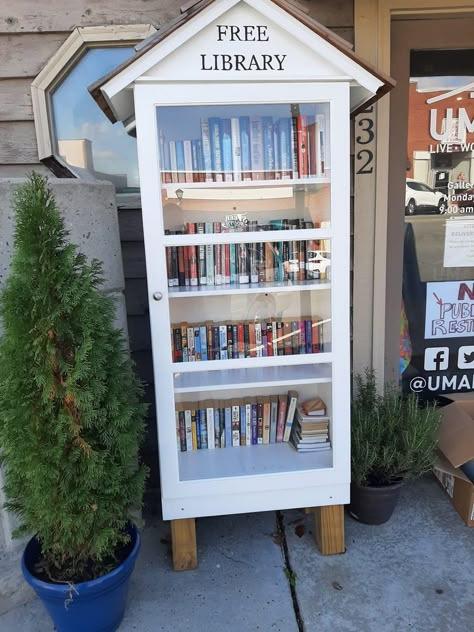 Street Library Ideas, Book Library Outdoor Diy, Take A Book Leave A Book, Lending Library Ideas, Little Library Plans Diy, Outdoor Book Library, Free Little Library Ideas, Free Library Box Ideas, Free Little Library