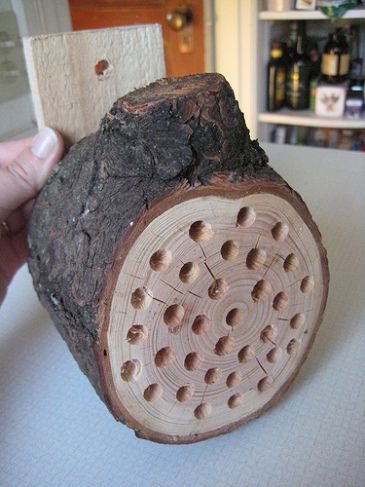 Mason Bee House, Bee Houses, Bee Hotel, Mason Bees, Insect Hotel, Bug Hotel, Bee House, Bee Garden, Bee Friendly