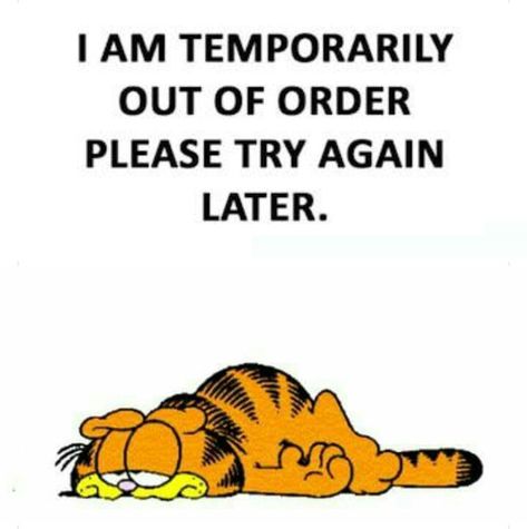 I am temporarily out of order. Please try again later. Garfield Quotes, Funny Day Quotes, Good Morning Funny Pictures, Garfield And Odie, Out Of Order, A Course In Miracles, Good Morning Funny, Funny Thoughts, Funny Cartoon Quotes