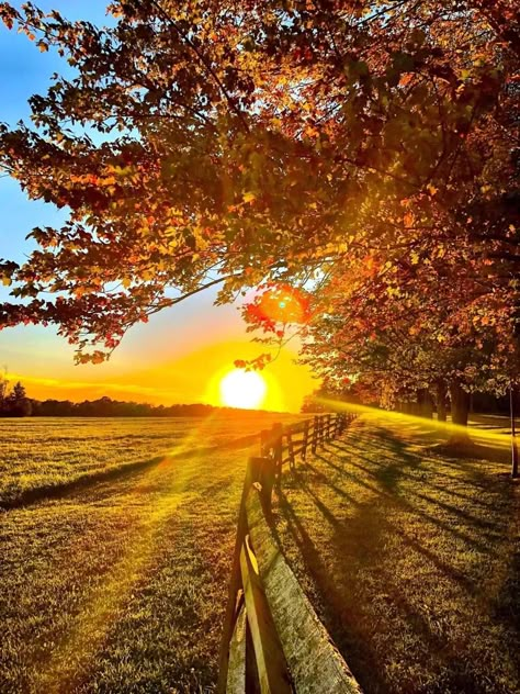 Autumn Gardening, Delicate Arch, Fall Images, Good Morning Beautiful Pictures, Fall Garden, Autumn Scenes, Bon Weekend, Autumn Scenery, Sunset Quotes