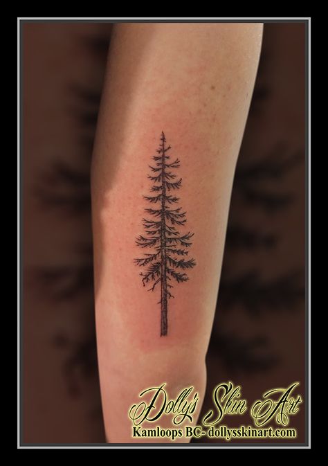 Hayley's fir tree - Dolly's Skin Art Tattoo Kamloops BC Pine Tree Tattoo Placement, Arm Nature Tattoo, Douglas Fir Tree Tattoo, Fir Tree Tattoos, Douglas Fir Tattoo, Cedar Tree Tattoo, Tree Tattoo Black, 2024 Tattoo, Tattoo Black And Grey