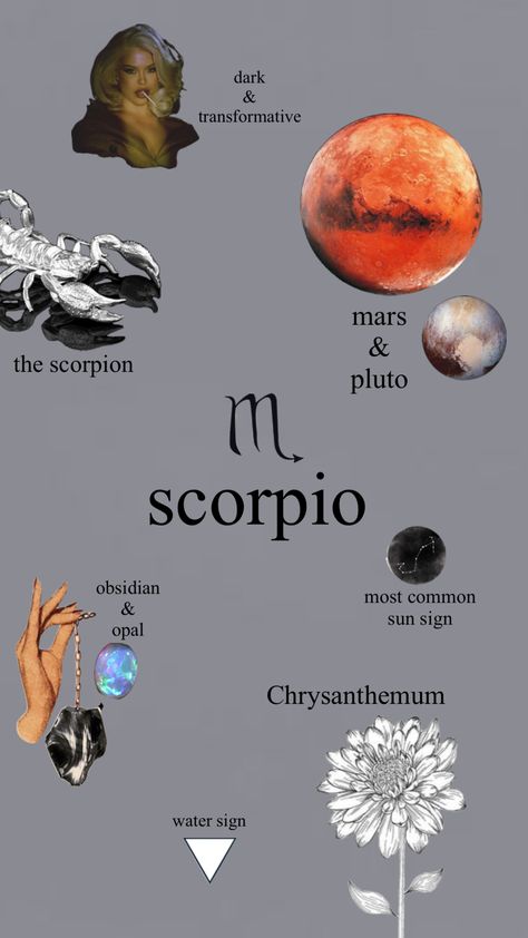 Pluto And Mars Scorpio Tattoo, Planet Pluto Tattoo, Mars Scorpio Aesthetic, Scorpio Pluto Aesthetic, Cute Scorpion Tattoo For Women, Scorpio Username Ideas, Scorpio Mars Aesthetic, Tattoo Scorpion Zodiac, Scorpio Zodiac Aesthetic