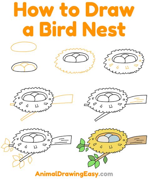 How to Draw a Bird Nest Step by Step #BirdNest #BirdNestDrawing #StepbyStepBirdNestDrawing #HowtoDrawaBirdNest #EasterDrawing #EasterNest #Easter #HowtoSketchaNest #NestDrawing #BirdDrawing #HowtoDrawaBird How To Draw A Doll, Bird Nest Drawing, Nest Sketch, Drawing Theory, Nest Drawing, Bird Drawing For Kids, Draw A Bird, Draw Birds, Peace Pole