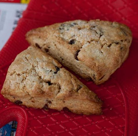 Whole Wheat Chocolate Chip Scones - Cookie Madness Whole Wheat Baked Goods, Whole Wheat Pumpkin Scones, Whole Wheat Scones, Little Spoon Farm Chocolate Chip Scones, Sweet Fritters, Whole Wheat Pastry Flour, Scones Blueberry, Sour Cream Scones, Whole Wheat Cookies