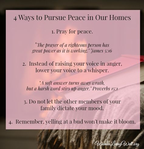 4 ways to pursue peace in our homes Personal Peace, Pursue Peace, Women Living Well, Quotes Time, Biblical Marriage, Pray For Peace, Harsh Words, Quotes Of The Day, Proverbs 31 Woman