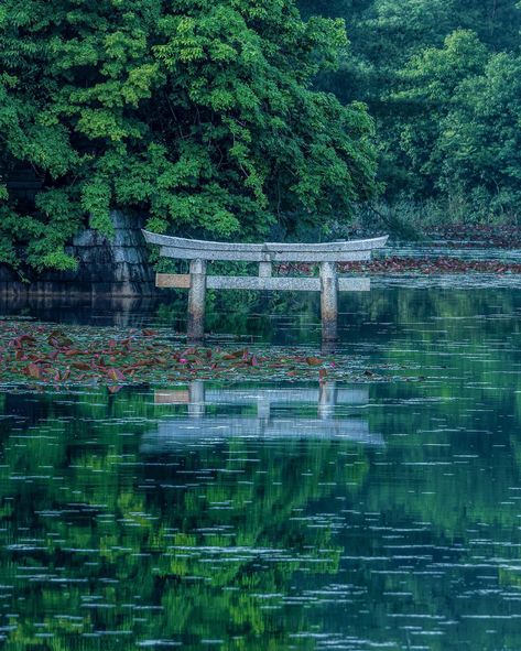 📍 Benten Pond, Shiga Captured by @etsuyo623 Follow @his_travel to discover Japan 🌸 ------------------------------------------------- Destination Japan by HIS International Tours ------------------------------------------------- #DestinationJapan #BentenPond #ShigaPrefecture #ToriiGate #ScenicJapan #HiddenGem #JapaneseCulture #TranquilPond #NatureBeauty #TraditionalJapan #SacredSite #ExploreShiga #JapaneseLandscapes #CulturalHeritage #PeacefulJapan #HistoricSites #TravelJapan #SereneBeauty ... Torii Gate, Aesthetic Japan, Shiga, Water Reflections, Japanese Architecture, Japanese Culture, Historical Sites, Japan Travel, Nature Beauty