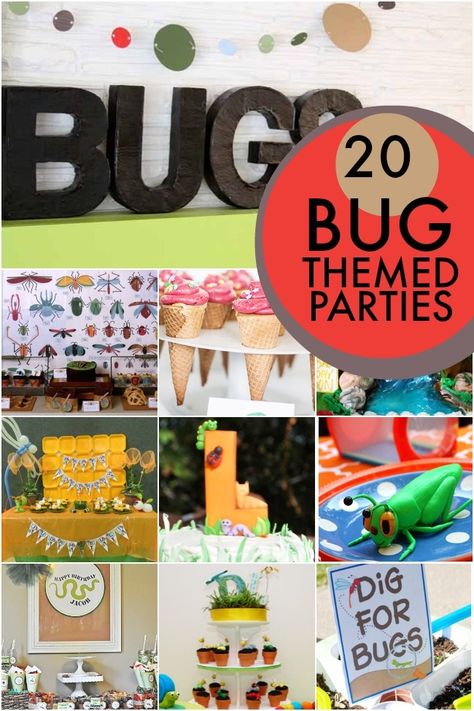 20 Bug Themed Birthday Party Ideas Creepy Crawly Birthday Party, Bug Themed Birthday Party, Insect Party, Beat Bugs, Themed Birthday Party Ideas, Son's Birthday, Bug Party, Dessert Table Birthday, Spaceships And Laser Beams