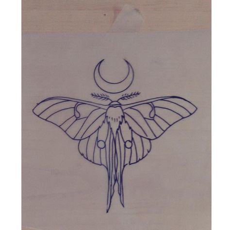 #luna #moth #drawing #by #Laura #Carney #tattoo #design #wow! at #Kiss of… Luna Moth Drawing, Lunar Moth Tattoo, Luna Moth Tattoo, Moth Drawing, Moth Tattoo Design, Lunar Moth, Petit Tattoo, Stick N Poke, Inspiration Tattoo