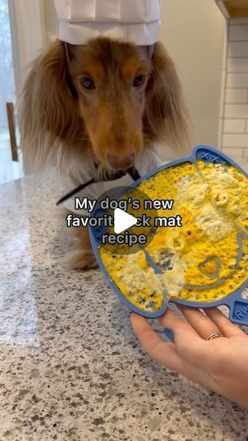 Roswell on Instagram: "Roswell’s Lick Mats are microwave-safe and perfect for this 1 ingredient recipe! He is obsessed👏 Lick Mat linked in my bio🥰 Microwave times may vary, I put it for 15 second intervals for about 1 minute total. Idea/recipe by @lunathetrickdog 💛 #lickmat #lickmatrecipe #homemadedogtreats #dachshund #lickmats" Dog Lick Mat Ideas, Dog Lick Mat Recipes, Lick Mat Recipes, Dog Lick Mat, Golden Doodle, Dog Recipes, Goldendoodle, Ingredients Recipes, Dog Training