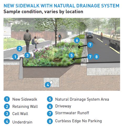 Street Landscape Design Sidewalks, Natural Drainage Landscaping, Sidewalk Design, Highway Architecture, Pervious Concrete, Landscape Drainage, Permeable Paving, Storm Water, Urban Design Concept