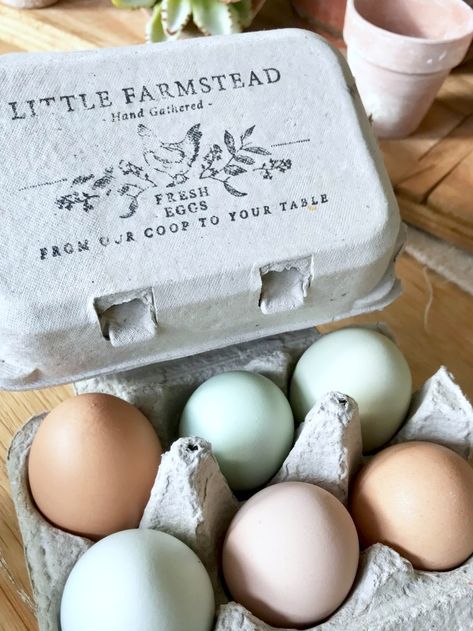 Farm Fresh Eggs Custom Stamp for Cartons Custom Egg Cartons, Egg Cartons For Fresh Eggs, Age Terra Cotta Pots, Eggs Packaging, Egg Business, Aging Terra Cotta Pots, Diy Terra Cotta Pots, Homemade Stamps, Egg Stamp