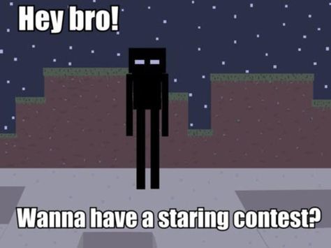 [Image - 181467] | Enderman | Know Your Meme Minecraft Quotes, All Minecraft, Hey Bro, Minecraft Mobs, Minecraft Funny, Minecraft Stuff, Minecraft Memes, How To Play Minecraft, Minecraft Party