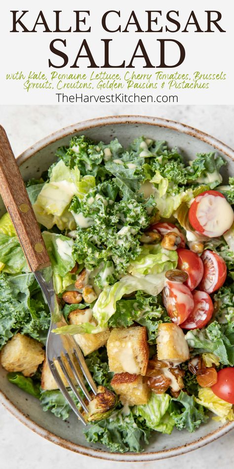 This Best Kale Caesar Salad Recipe is a healthy kale Caesar salad featuring a mix of raw kale, Romaine lettuce, roasted brussels sprouts, cherry tomatoes, croutons, golden raisins, and pistachio nuts all tossed in a delicious homemade Caesar dressing without anchovies. Serve this healthy Kale Caesar Salad as a side to grilled chicken or fish, or as a light vegetarian main. Kale And Romaine Salad Recipes, Caesar Dressing Without Anchovies, Healthy Caesar Salad, Homemade Caesar Dressing, Homemade Caesar, Kale Caesar, Plant Eater, Kale Caesar Salad, Classic Caesar Salad