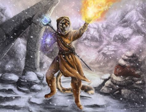 Khajiit Mage Khajiit Mage, Skyrim Mage, Skyrim Fanart, Elder Scrolls, Skyrim, Fallout, Art Tutorials, More Photos, See More