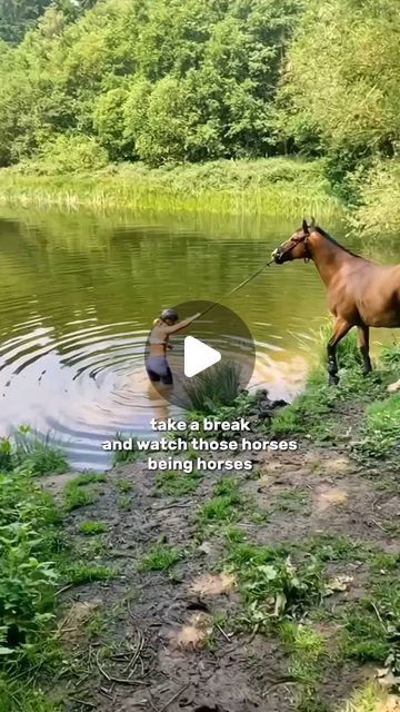 Horse Love Zone 🐎 | Have good day with funny Horse   Cr: Tiktok hxrseditsz ____________ ================== • • • • • #equestrian #equestrianlife #h... | Instagram Hilarious Horse Videos, Happy Animals Funny, Horses Running Photography, Cute Pictures To Take With Your Horse, Horse Riding Fails, Funny Horses Videos, Horse Show Aesthetic, Smiling Horse, Cantering Horse