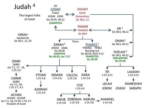 Bible Maps, Bible Genealogy, Bible Charts, Sons Of Jacob, Bible Mapping, Bible Prints, Bible Study Help, Online Bible Study, Bible Study Tips