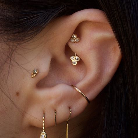 This ear is on point #earpiercing #piercing #rook #conch #tragus #gold #earring Hippe Piercings, Different Types Of Ear Piercings, Rose Gold Tattoo, Piercings Oor, Top Ear Piercing, Different Types Of Piercings, Tragus Gold, Piercing Conch, Types Of Ear Piercings