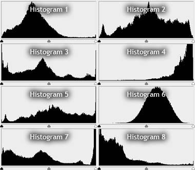 Histogram Photography, Test Notes, Photo Course, Digital Photography Lessons, Photography Settings, Photography Cheat Sheets, Photo Class, Digital Imaging, Photo Techniques