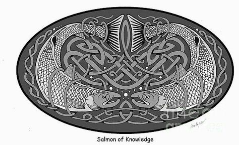 Celtic Salmon Celtic Salmon, Norse Knotwork, Salmon Tattoo, Gaelic Tattoo, Salmon Art, Drawing Backgrounds, Celtic Artwork, Cnc Designs, Tattoo Symbols