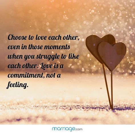 #relationshipgoals❤️ Love Each Other Quotes, Forgive But Never Forget, Love And Life Quotes, Quotes For Love, Broken Hearts Club, Love Articles, Related Quotes, Relationship Counselling, Job Quotes