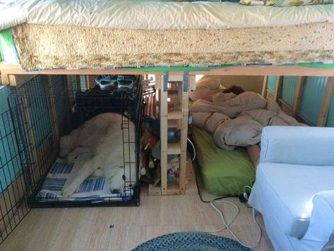 Family's $10k Converted Skoolie for Sale, Santa Fe (Sold) Skoolie Bunks, Skoolie Bunk Bed Ideas, Bus Conversion With Bunk Beds, Skoolie For Sale, Skoolie Floor Plan With Bunks, Converted School Bus With Bunks, Skoolie Framing, Twin Over Twin Bunk Bed, Folding Bed