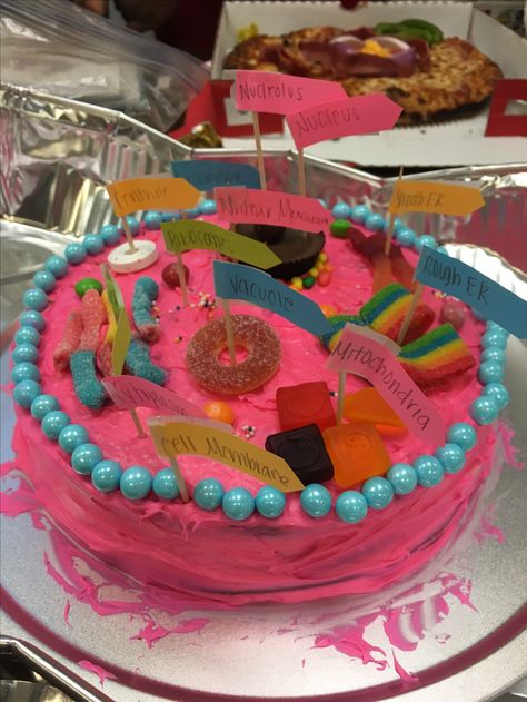 Animal Cell Project Cake Animal Cell Cake Project Ideas, Cell Project Cake, Animal Cell Model Project, Plant Cell Cake, Clever Classroom Ideas, Edible Cell, Cell Model Project, Plant Cell Model, Animal Cell Project