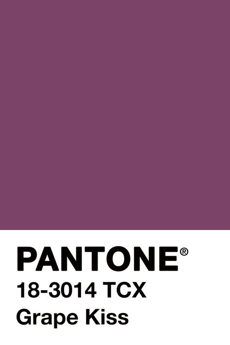 H n n H  on Twitter: "#ColourOfTheDay #May23th @pantone #Grape #Kiss The #colour of the #balloons which he filled my #house... #Lovely #MoodColour #ColourInspires… https://t.co/bFBuPV0jzh" Pantone Shades, Colour Dictionary, Beautiful Color Palettes, Pantone Swatches, Pantone Palette, Pantone Colour Palettes, Grape Color, Pantone Colors, Natural Landscapes