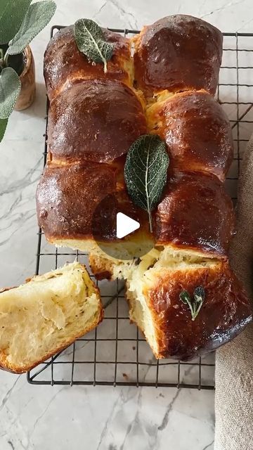 Tieghan Gerard on Instagram: "Pull Apart Parmesan Sage Butter Brioche Rolls. Soft, fluffy, buttery little rolls. They speak for themselves, but yup, they’re GOOD. Recipe linked in profile. #foodreels #bread https://www.halfbakedharvest.com/pull-apart-parmesan-sage-butter-brioche-rolls/" Tieghan Gerard, Brioche Rolls, Sage Butter, Good Recipe, Linked In Profile, Pull Apart, Parmesan, Rolls, Butter