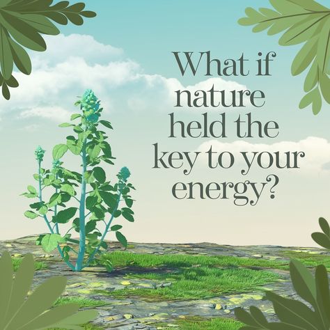 Did you know that studies show adaptogens like Ginseng and Maca Root can increase energy levels by up to 25%? 🌿✨ Today, let’s dive into Rhodiola Rosea, a powerful herb celebrated for its natural energy-boosting properties. Here’s how it works: 1. Fights fatigue: Rhodiola helps combat physical and mental exhaustion. 2. Enhances stamina: Boosts endurance during workouts or long days. 3. Reduces stress: Balances cortisol levels for better focus and mood. Research published in the journal *Ph... Mental Exhaustion, Rhodiola Rosea, Maca Root, Increase Energy Levels, Increase Energy, Cortisol Levels, Natural Energy, The Journal, Boost Energy