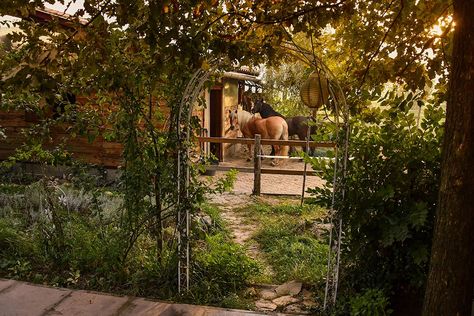 Round Pens For Horses, Equine Stables, Dream Barn Stables, Horse Pens, Stable Style, Horse Paddock, Horse Barn Ideas Stables, Paddock Paradise, Mini Barn