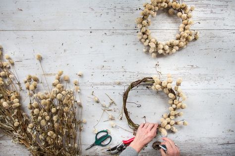 Teacup Flowers, Dried Floral Wreaths, Grass Wreath, Pom Pom Flowers, Dried Wreath, Globe Amaranth, Dried Flowers Wedding, Dried Flower Wreaths, Christmas Centerpieces Diy