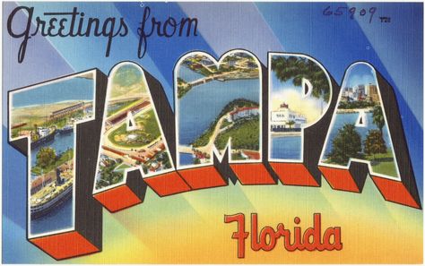 Greetings from Tampa, Florida Florida Images, Florida Poster, Florida Art, Florida City, Old Florida, Vintage Florida, Client Gifts, Design Image, Paper Towels