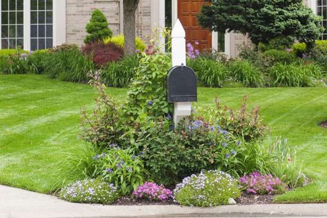 Mailbox Plants, Mailbox Flowers, Mailbox Garden, Mailbox Landscaping, Cheap Landscaping Ideas, Mailbox Ideas, Landscaping Inspiration, Flower Bed, Ornamental Grasses