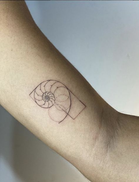 Tattoo Golden Ratio, Mathematical Tattoo Ideas, Fibonacci Sequence Tattoo, Fibonacci Nature Tattoo, Fibbonaci Tattoo, Fibinocci Sequence Tattoos, Fibanocci Sequence Tattoos, Fibonacci Shell Tattoo, Fibbonaci Sequence Tattoo