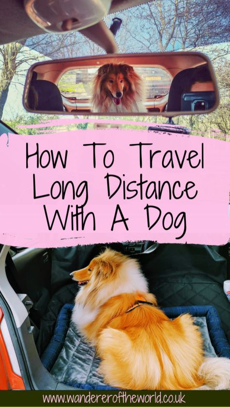 Dog Car Travel, Road Trip With Dog, Dog Travel Accessories, Dog Friendly Vacation, Dog Travel Bag, Dog Friendly Hotels, Dog Essentials, Dog Info, Dog Hacks