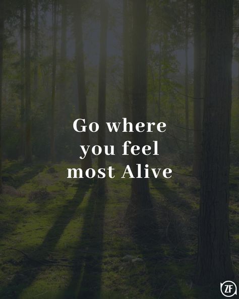 Go where you feel most Alive I Feel Alive, Quick Workout At Home, Alive Quotes, Healthy Motivation, Body Healing, Quick Workout, Self Improvement Tips, Im Happy, Get Healthy