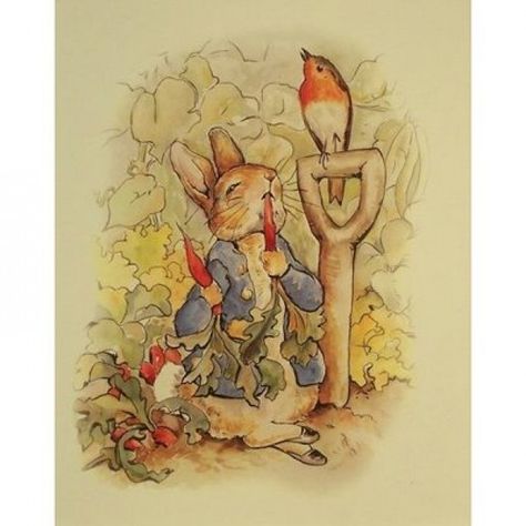 "First he ate some lettuces and some French beans; and then he ate some radishes," explains the storybook yarn of "The Tale of Peter Rabbit" and his trespassing in Mr. McGregor's garden. Peter Rabbit Painting, Mr Mcgregors Garden, Peter Rabbit Illustration, Beatrix Potter Illustrations, Beatrice Potter, Peter Rabbit Nursery, Rabbit Nursery, Rabbit Eating, Rabbit Illustration