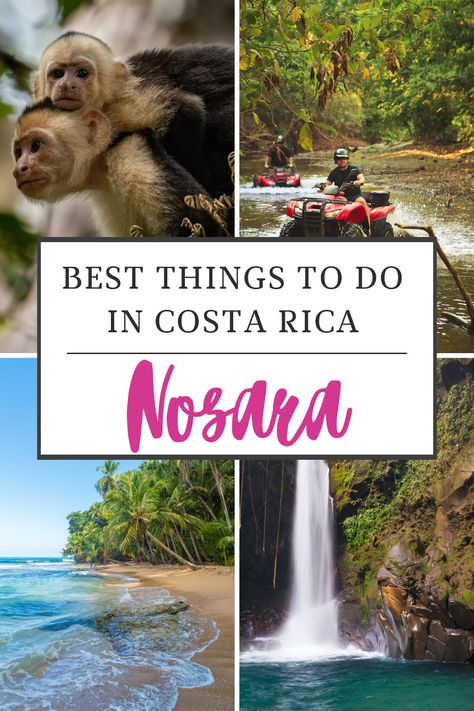 Discover the ultimate guide to the best things to do in Nosara, Costa Rica from pristine beaches to thrilling outdoor adventures, and more. Nosara Costa Rica Things To Do, Costa Rica Nosara, What To Do In Costa Rica, Nosara Costa Rica, Costa Rica Adventures, Costa Rica Travel Guide, Perfect Waves, Eco Lodges, Nosara