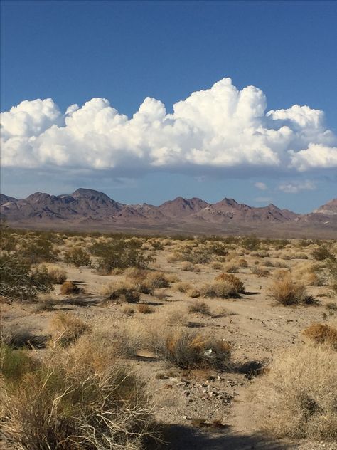 Desert Landscape Reference, Semi Arid Desert, Nevada Desert Landscape, Mojave Desert California, Texas Desert Aesthetic, Great Basin Desert, Drought Aesthetic, Mojave Aesthetic, Desert Mountains Landscapes