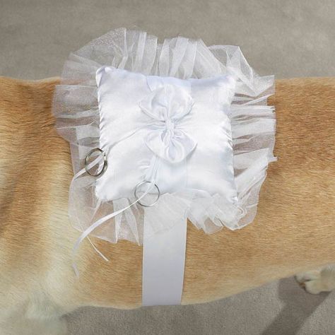 Dog Ring Bearer Pillow, Dog Ring Bearer, Wedding Day Wishes, Ring Bearer Dog, Dog Ring, Ring Bearer Pillows, Wedding Info, Ring Bearer Pillow, Wedding Clothes