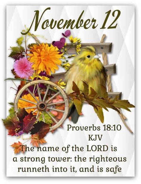 Sunday November 12, 2017. November 10 Bible Verse, November 12 Blessings, November 12 Quotes, November 11 Quotes, November Scripture, November Birthday Quotes, November Blessings, December Scriptures, November Images