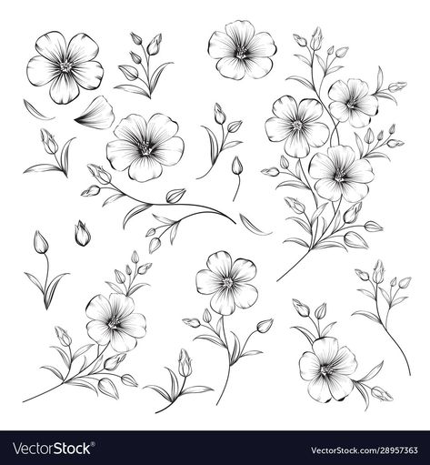 Linum Flower, Hur Man Ritar Blommor, Plants Drawing, Down Wedding Hairstyles, Flower Elements, Half Up Half Down Wedding, Flax Flowers, Flower Drawing Tutorials, Small Flower Tattoos